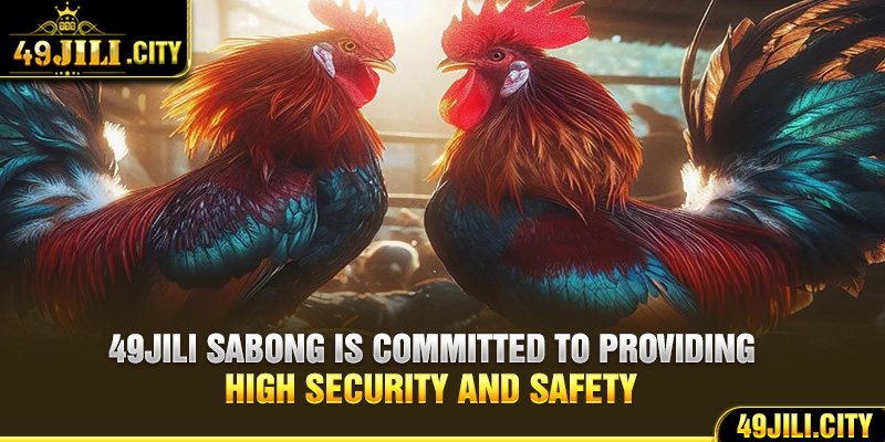 49Jili sabong is committed to providing high security and safety