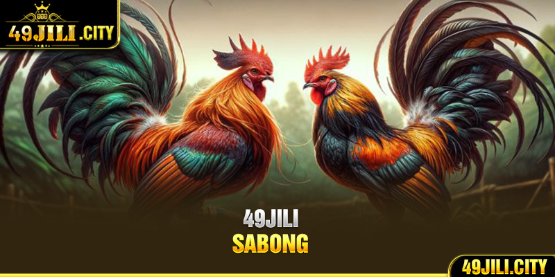 49Jili sabong