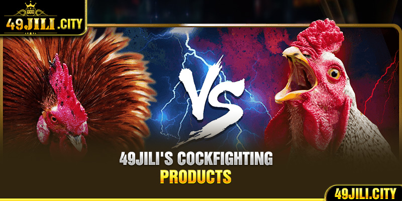 49Jili's cockfighting products