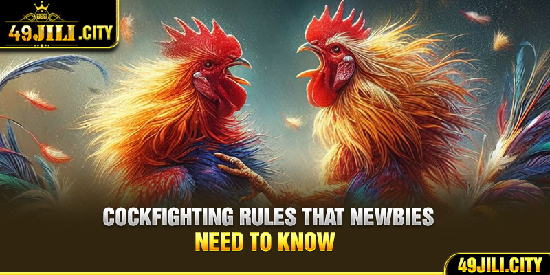 Cockfighting rules that newbies need to know 