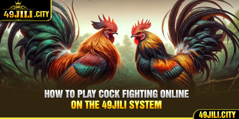 How to play Cock Fighting online on the 49Jili system